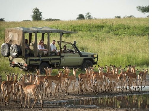 Selous-Game-Reserve (1)