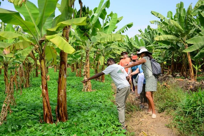 zanzibar-local-village-tour.jpg